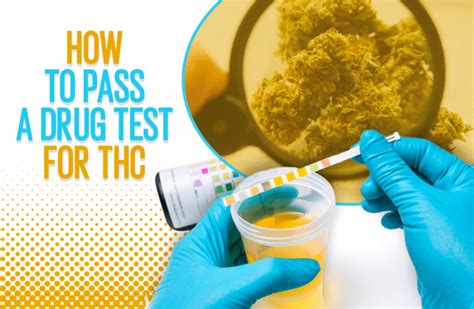 does tch oil concentrate harder to pass drug test|thc levels for drug test failure.